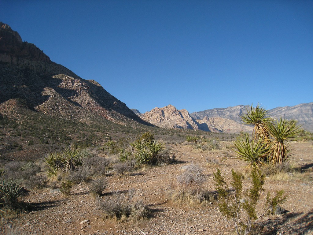 Las Vegas 2010 - Red Rock 0741.JPG - The 2010 Las Vegas Fire - Ice and Sweat Tour. Half Marathon, Red Rock Canyon, Casinos, Valley of Fire.... and buffets!